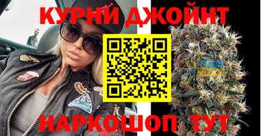 мдпв Гусев