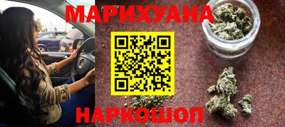 дмт Гай