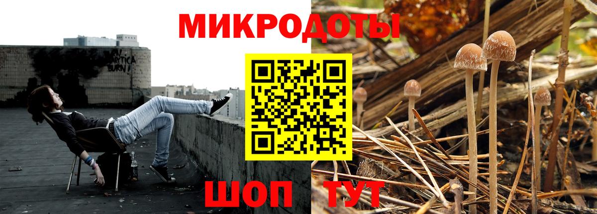 Галлюциногенные грибы GOLDEN TEACHER  Вход с VPN  наркота  Мирный  Псилоцибиновые грибы Psilocybe 